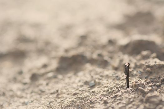 Young businessman stand in the outdoor and looking up, nature background easy use for your text on the space.