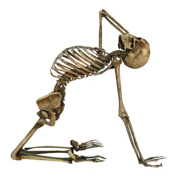 3D digital render of a human skeleton doing sport isolated on white background