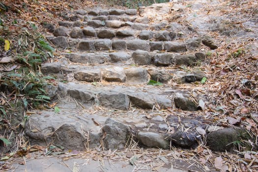 rock stairs going up hillside in forest