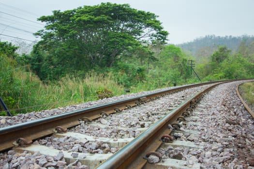 Railway track in a green forest. Railroad track vanishing into the distance. in Thailand