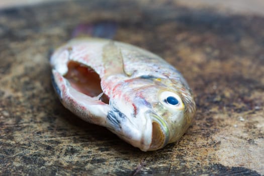 fish without entrails on a wooden chopping block in Thailand