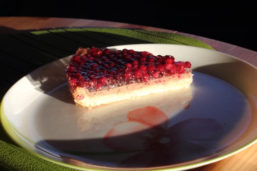 Piece of cake with cranberries on a shortcake dough