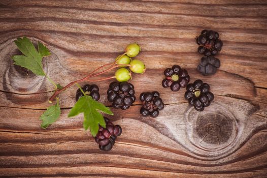 wild blackberry berries on wooden background with leafs 