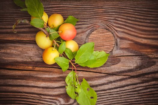 wild yellow plum with leafs  on wooden background