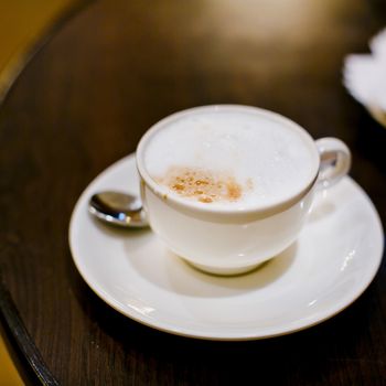 A cappuccino cup with milk foam and cinnamon