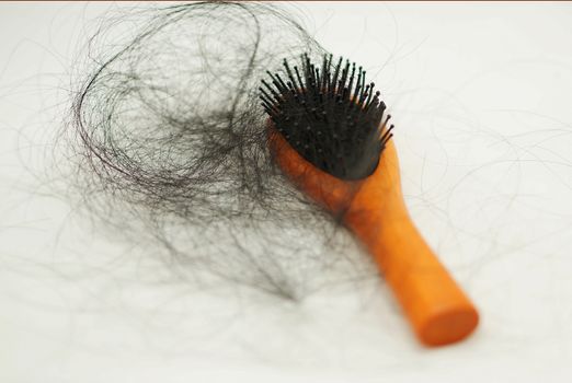 Women with hair loss problems, there are many hair attached to a comb after use.                                