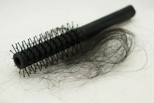 Women with hair loss problems, there are many hair attached to a comb after use.                               