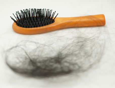 Women with hair loss problems, there are many hair attached to a comb after use.                               