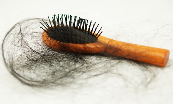 Women with hair loss problems, there are many hair attached to a comb after use.                               