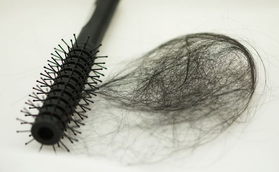 Women with hair loss problems, there are many hair attached to a comb after use.                          