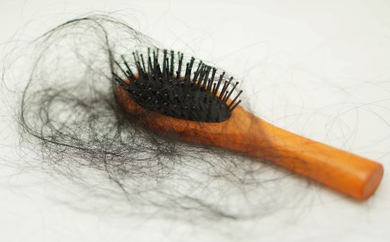 Women with hair loss problems, there are many hair attached to a comb after use.                               