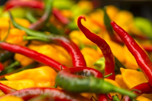 Organic peppers from a local market