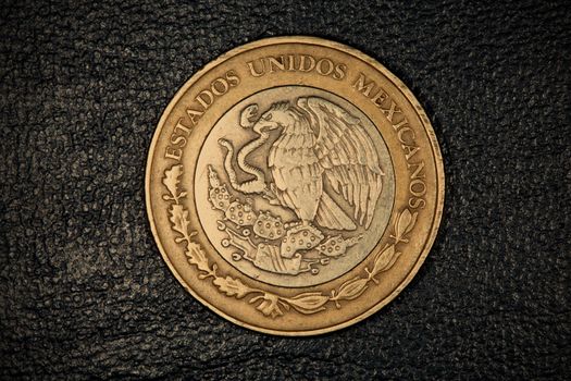 ten mexican peso coin on the skin surface, instagram image style