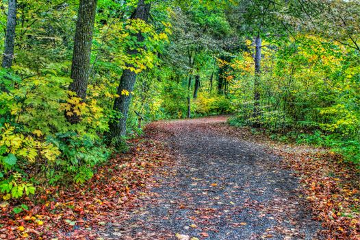 HDR of a forest path during fall colors.