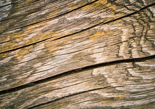 abstract background or texture old wood board
