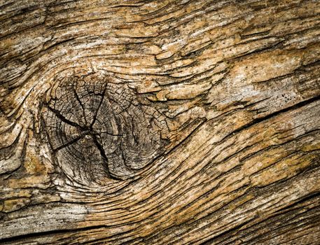 abstract background or texture old wood pattern