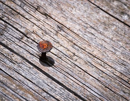 abstract background rusty nail in an old wooden board