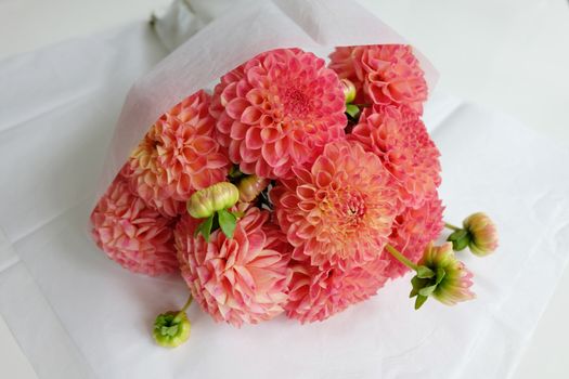 Bouquet of pink dahlias wrapped in white tissue paper