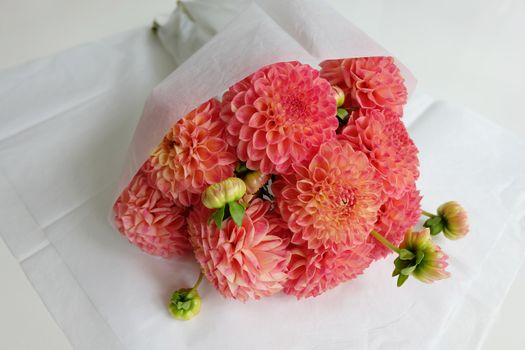 Bouquet of pink dahlias wrapped in white tissue paper