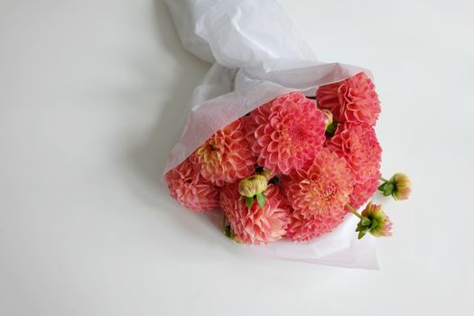 Bouquet of coral dahlias wrapped in white tissue paper