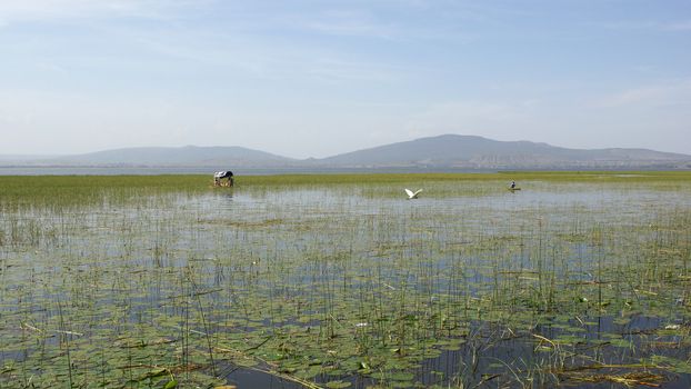 AWASSA, ETHIOPIA - NOVEMBER 15, 2014: Fishermen on Lake Awassa on November 15, 2014 in Awassa, Great Rift Valley, Ethiopia, Africa