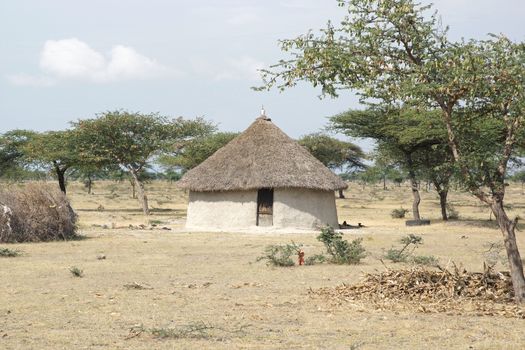 Traditional houses, Graet Rift Valley, Ethiopia, Africa