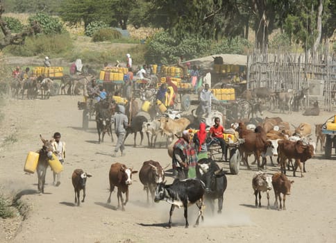 GREAT RIFT VALLEY, ETHIOPIA - NOVEMBER 16, 2014: People providing themselves with water on a waterhole on November 16, 2014 in the Great Rift Valley, Ethiopia, Africa