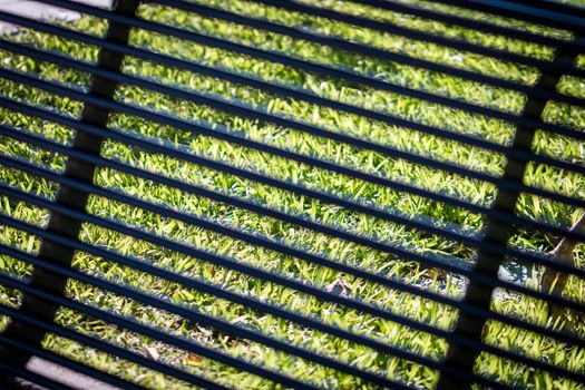 Transparency among grass benches sea and sun