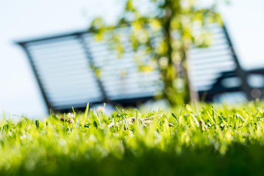 Transparency among grass benches sea and sun