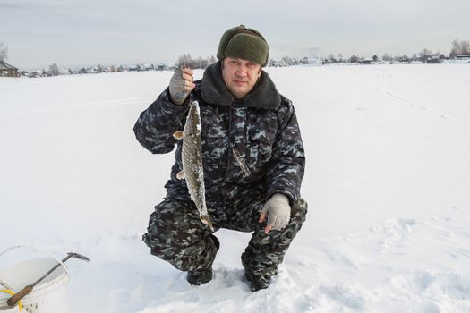 catch pike on winter fishing  on the live bait