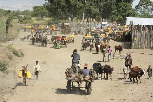 GREAT RIFT VALLEY, ETHIOPIA - NOVEMBER 16, 2014: People providing themselves with water on a waterhole on November 16, 2014 in the Great Rift Valley, Ethiopia, Africa