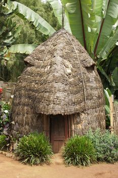 Traditional houses of Dorze people, Ethiopia, Africa