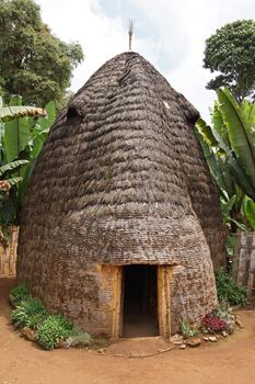 Traditional houses of Dorze people, Ethiopia, Africa