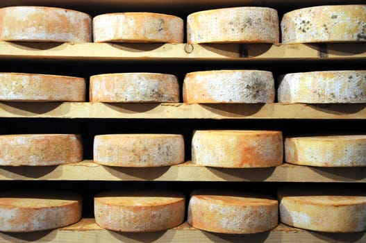 forms of fontina cheese