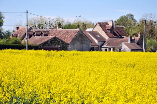 homes among the flowers,Loire