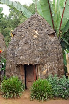 Traditional houses of Dorze people, Ethiopia, Africa