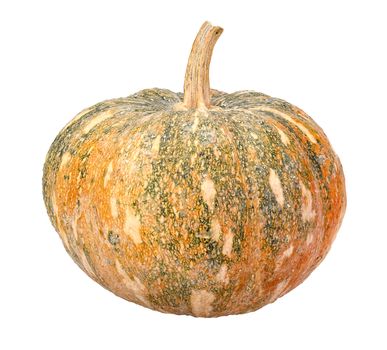 Pumpkin - Cucurbita moschata Decne. - isolated on white