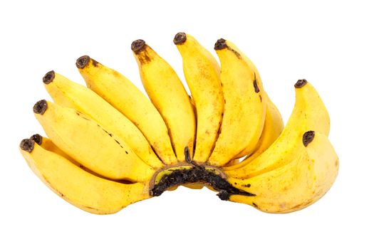  bunch of ripe lady finger banana isolated on white background