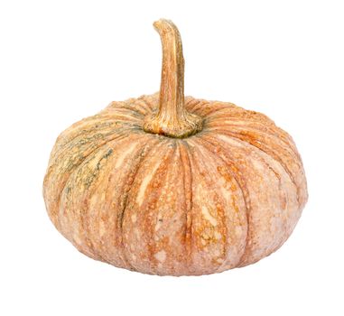 Pumpkin - Cucurbita moschata Decne. - isolated on white