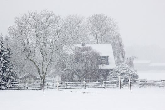 snowfall in the village - winter landscape