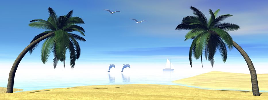 Palm tree, beach, ocean, dolphins and seagulls by beautiful day - 3D render