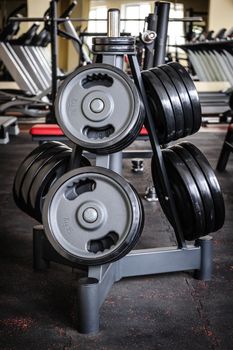 Gym interior with barbell plates holder rack