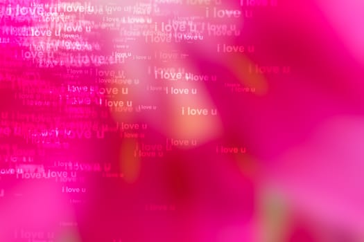 words i love you as red background