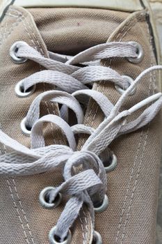 shoelace of canvas shoe