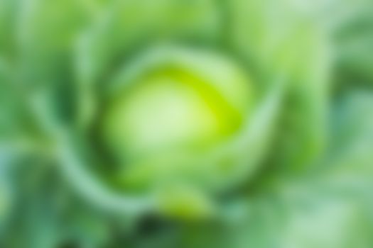 green bokeh abstract light background