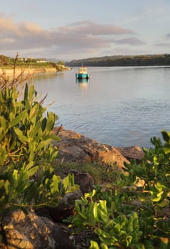 Early morning light on the Minamurra River, NSW Australia
