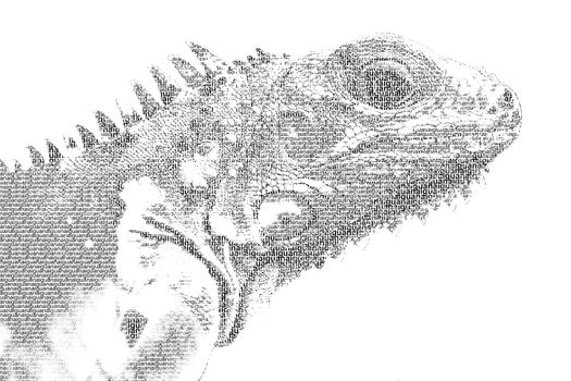 word iguana mixed to be figure of iguana, with typography style, isolated on white background