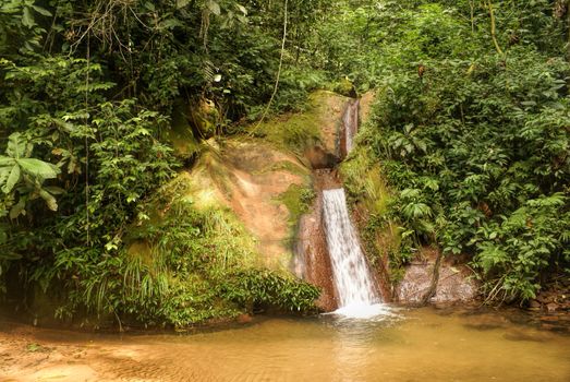 Small water cascades in Bolivian jungle forest