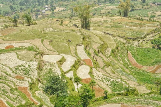 Picturesque aerial view of terraced fields in Nepal