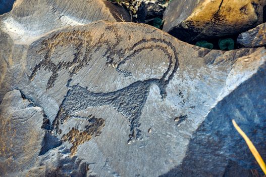 Close up of ancient pictograms engraved on rock on Saimaluu Tash site in Kyrgyzstan